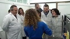 Visita hospital veterinario universitario Rof Codina